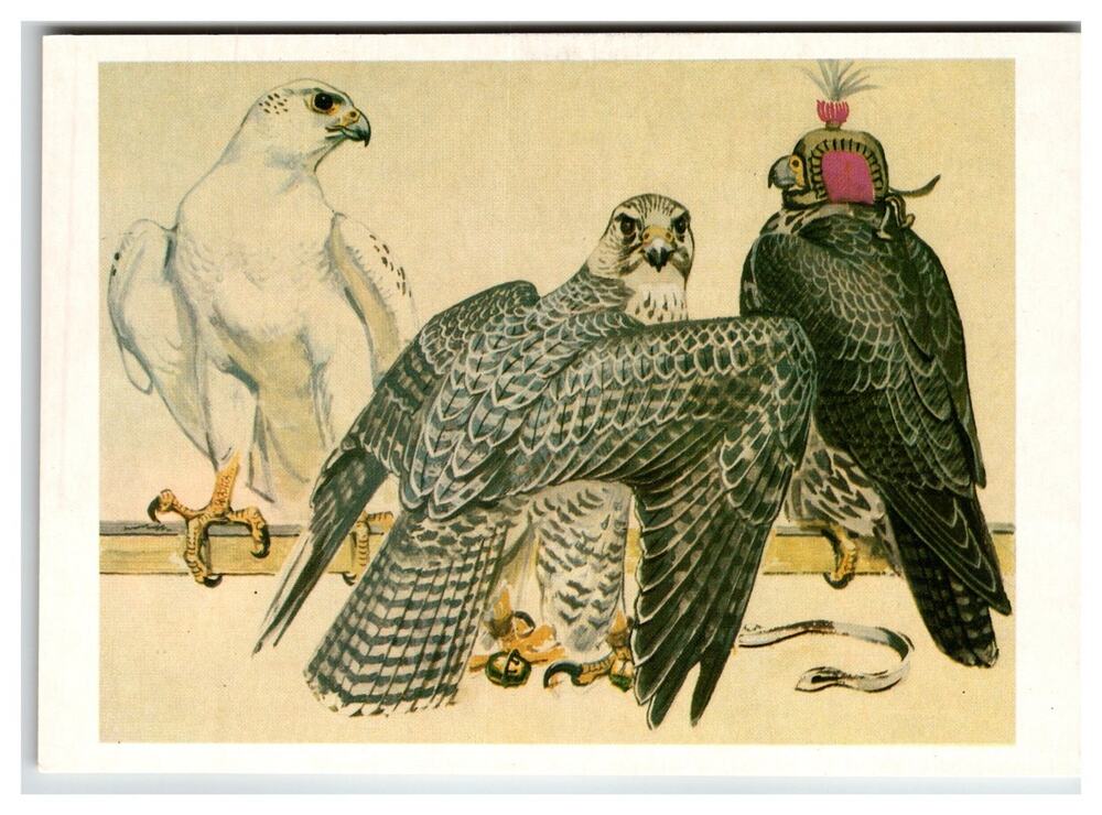 1984 USSR Gyrfalcon Falconry Art Postcard V. Gorbatov Wildlife Birds
